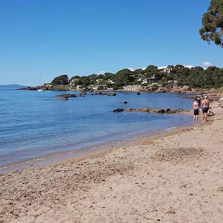 Estivales 2